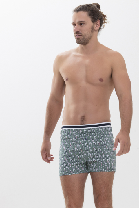 Boxer shorts Spearmint Serie Askala Front View | mey®