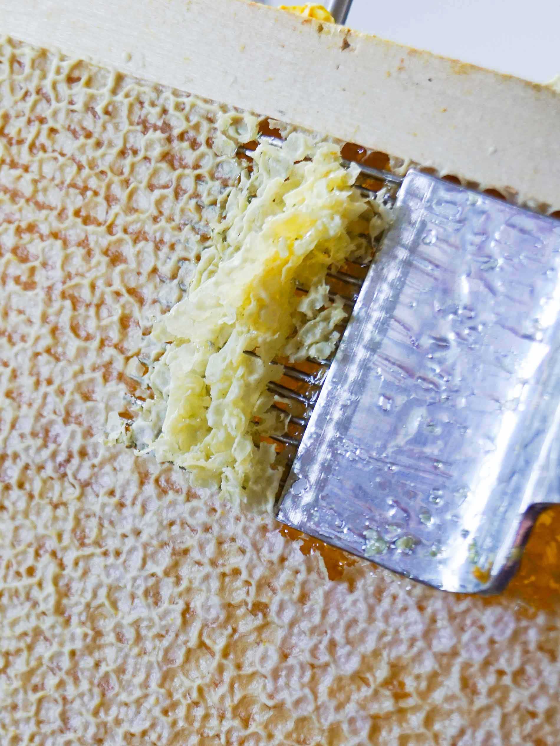 The honeycombs are decapped using a special fork | mey®