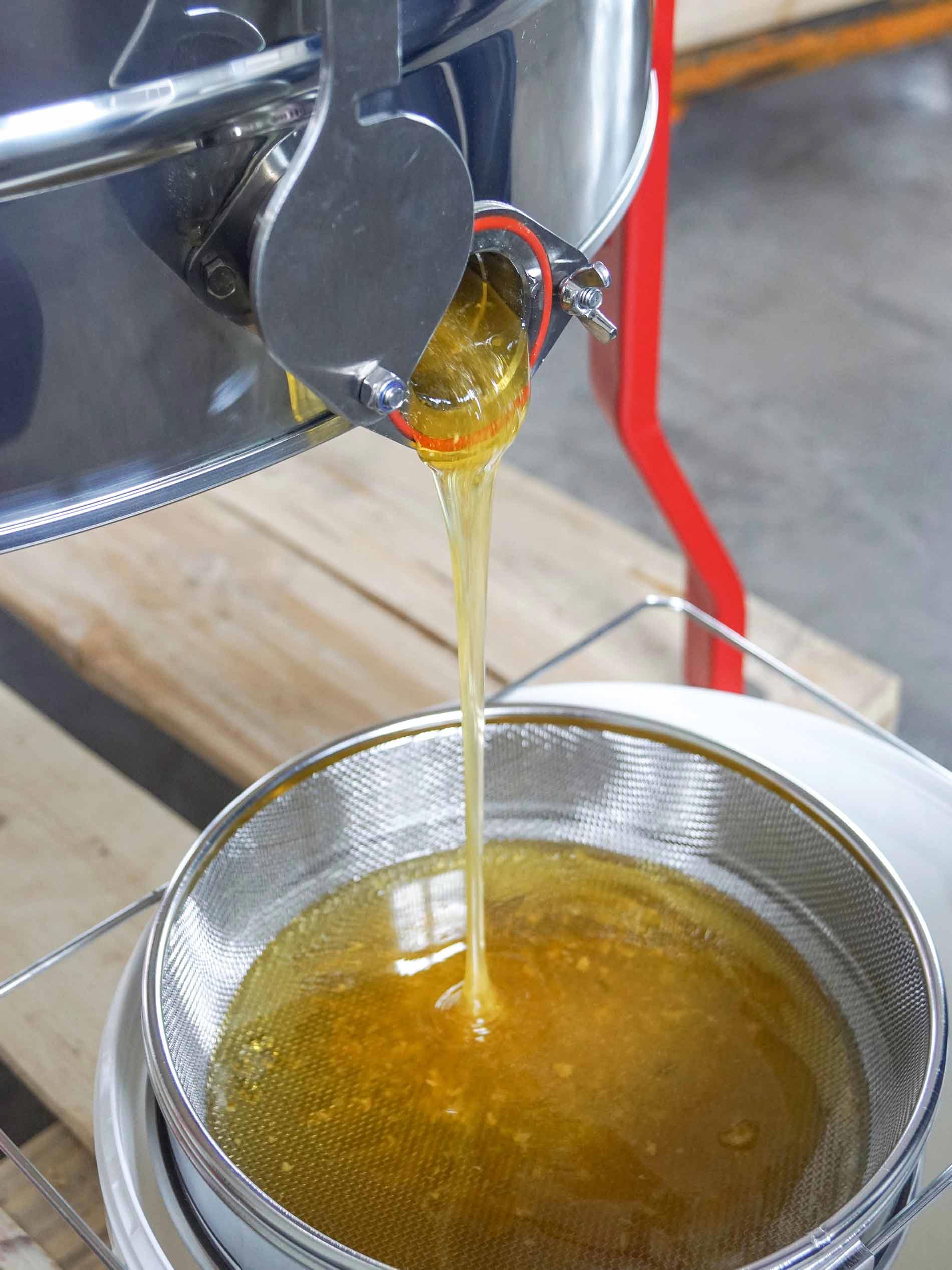 The honey runs out of the extractor into a bucket through a double sieve | mey®